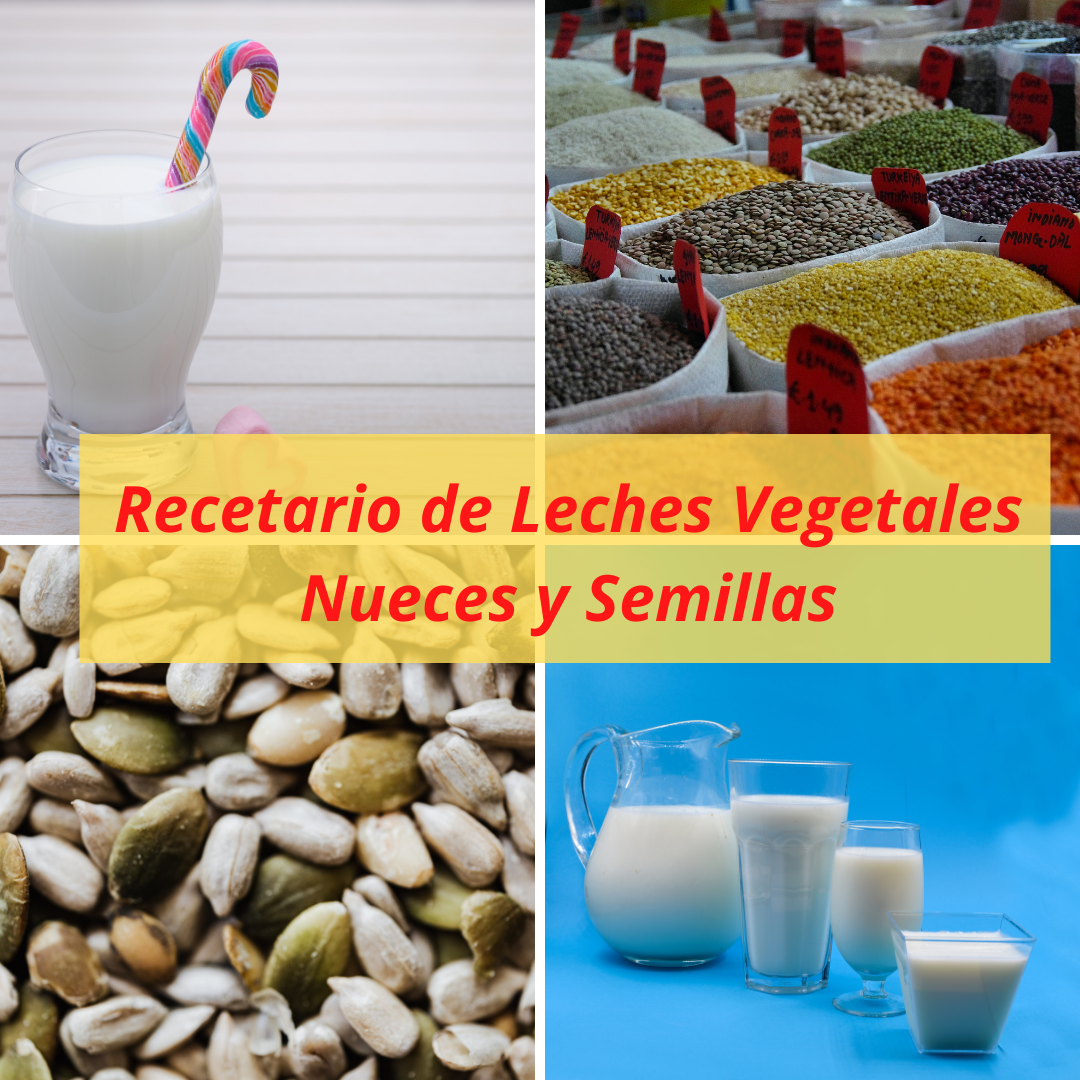 Recetario de Leches Vegetales Nueces y Semillas