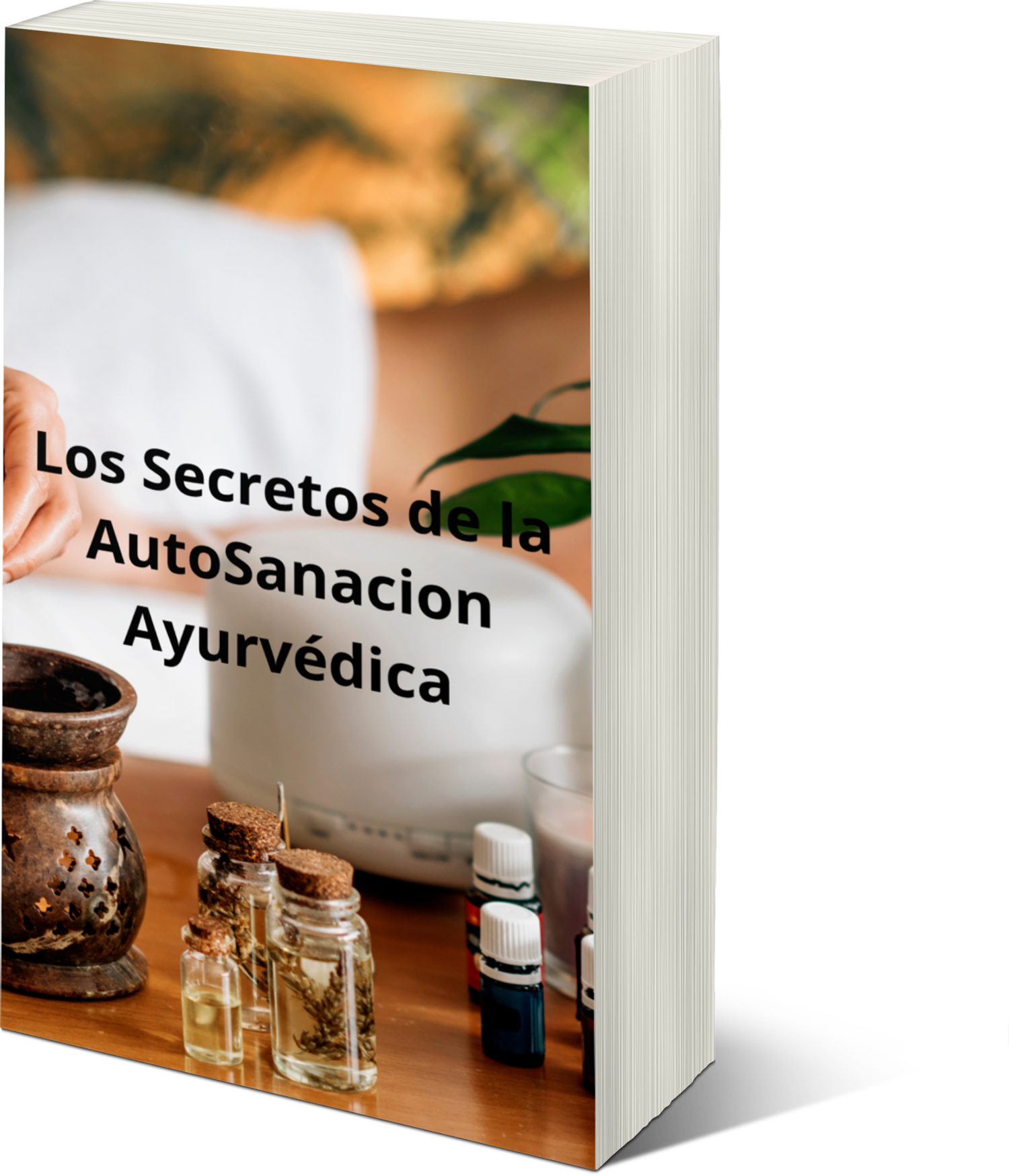 portada ayurvedica (2)