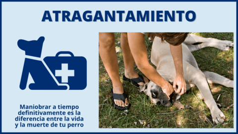 Atragantamiento