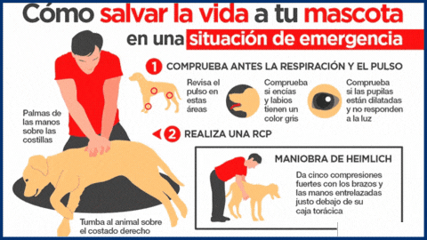 Diseño sin título (1)