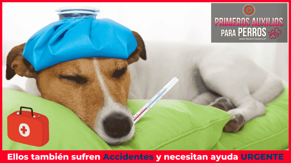 Portada_Primeros_Auxilios