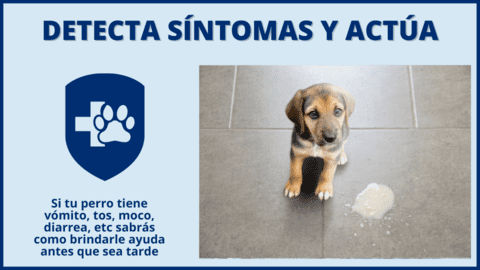 Síntomas