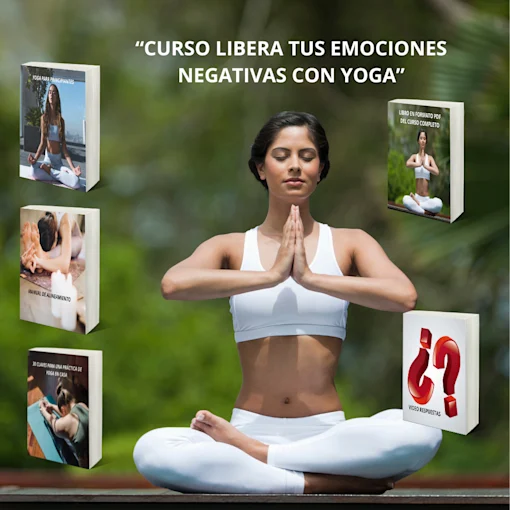 pag mockup propuesta